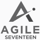 Agile seventeen